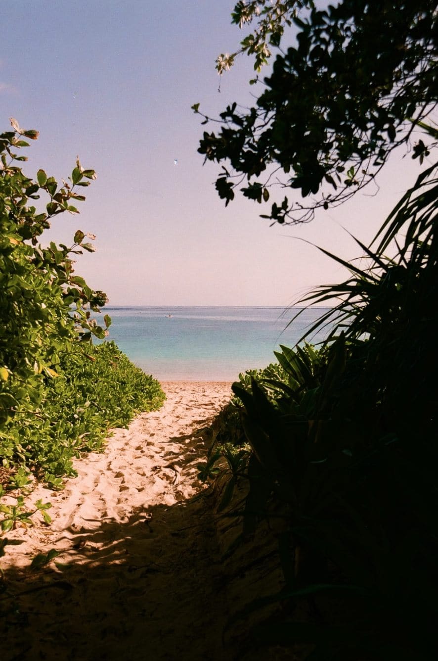 Nature — 6